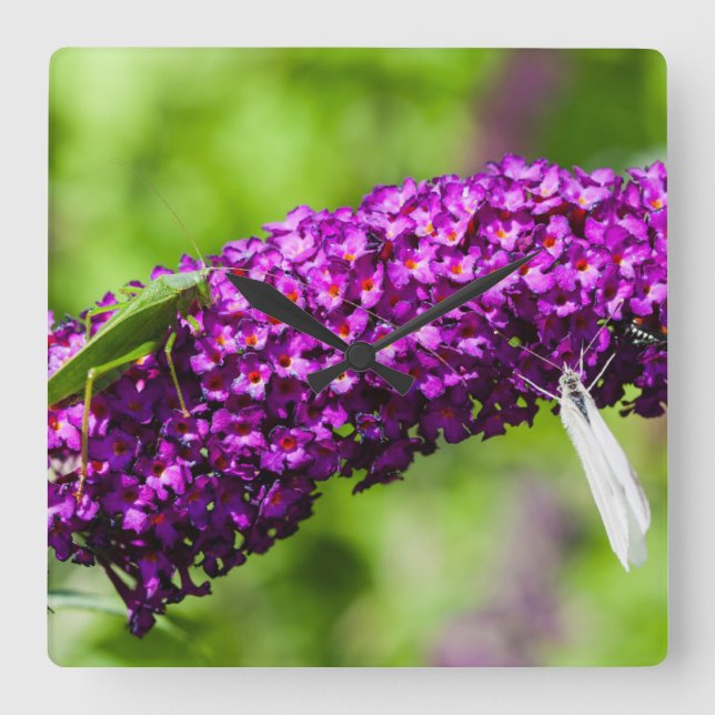 Horloge Carrée énergie katydone (Recto)