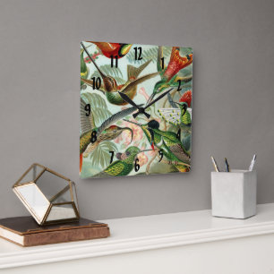 Horloge Carrée Ernst Haeckel Art Imprimer : Trochilidae