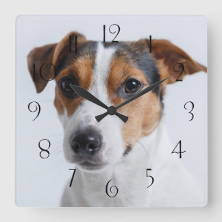 Horloge Carrée Éterrer de Jack russell