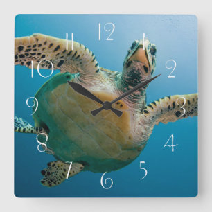 Horloge Carrée Etonnante tortue marine