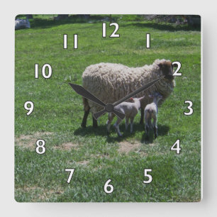 Horloge Carrée Ewe with Twins