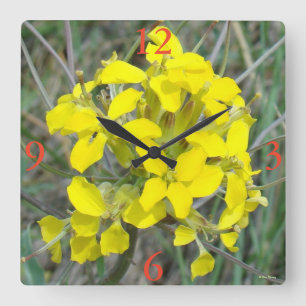 Horloge Carrée F14 Fleurs sauvages jaunes