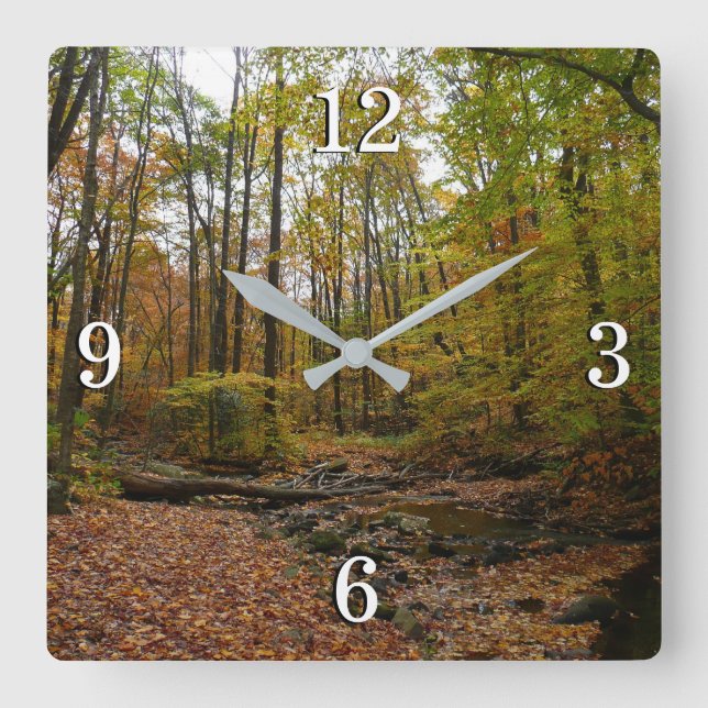 Horloge Carrée Fall Creek à Laurel Hill State Park Pennsylvania (Recto)
