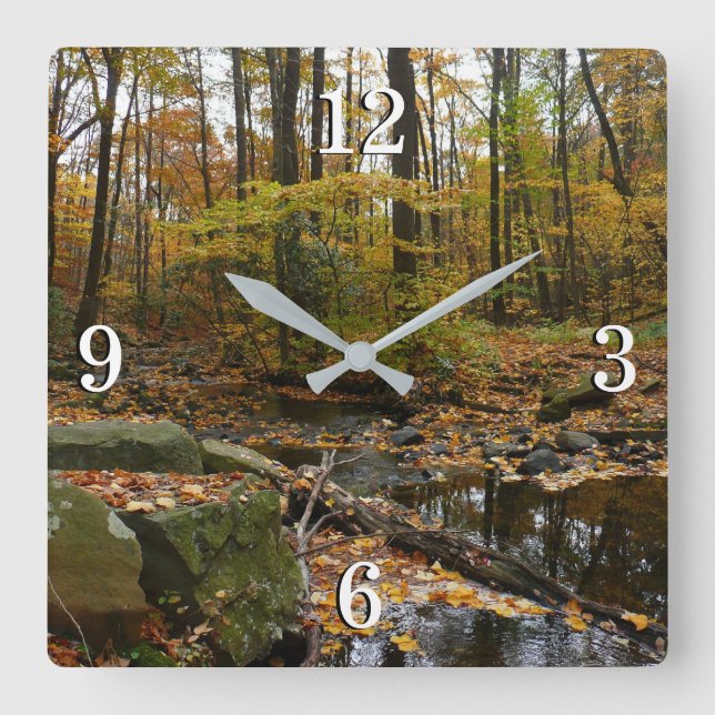 Horloge Carrée Fall Creek avec réflexion à Laurel Hill Park (Recto)