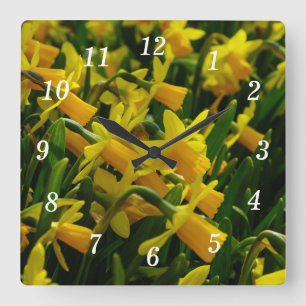 Horloge Carrée Famille De Daffodils