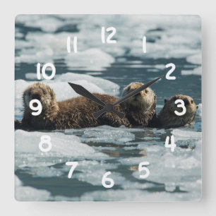 Horloge Carrée Famille de loutres de mer