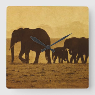Horloge Carrée Famille d'éléphant