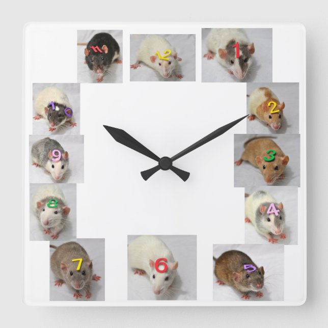 Horloge Carrée Fancy Rat Clock (Recto)
