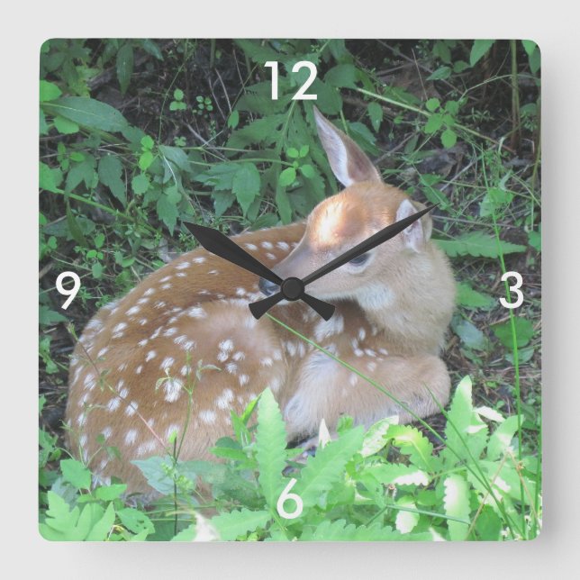 Horloge Carrée Fawn Wall Clock (Recto)