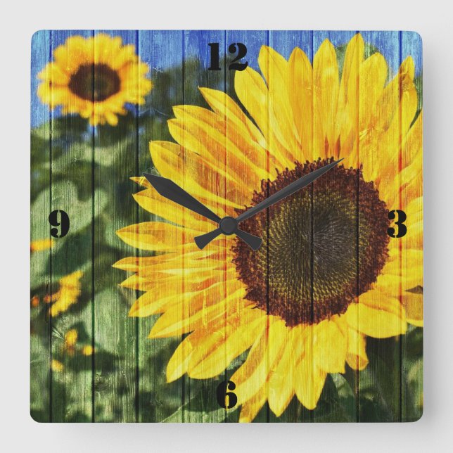 Horloge Carrée Fence painted de Sunflowers (Recto)
