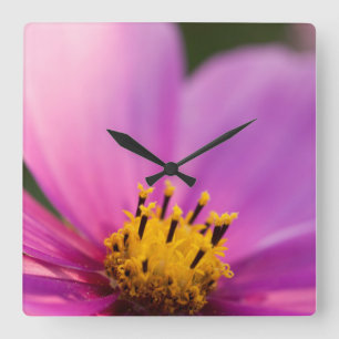Horloge Carrée Fermer la fleur