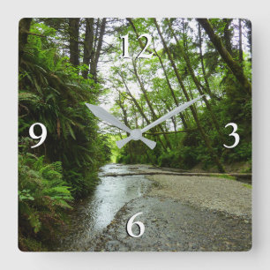 Horloge Carrée Fern Canyon II au Parc national de Redwood