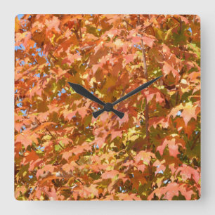 Horloge Carrée Feuilles D'Automne Sur Un Paysage D'Arbre