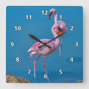 Horloge Carrée Flamants roses roses au lac