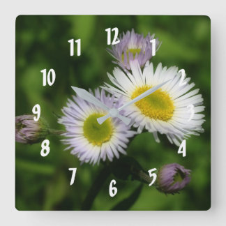 Horloge Carrée Fleabane Tiny Daisies Fleur