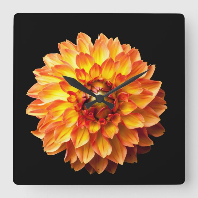 Horloge Carrée Fleur de dahlia (Recto)
