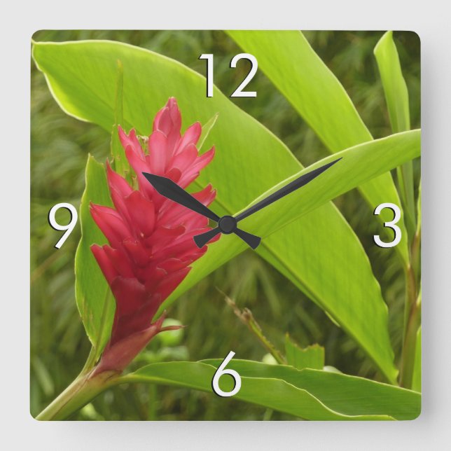 Horloge Carrée Fleur de gingembre rouge (Alpinia) tropicale (Recto)