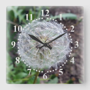 Horloge Carrée fleur de pissenlit