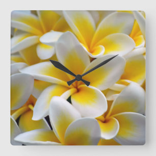Horloge Carrée Fleur Frangipani Plumeria