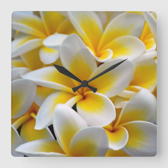 Horloge Carrée Fleur Frangipani Plumeria (Recto)