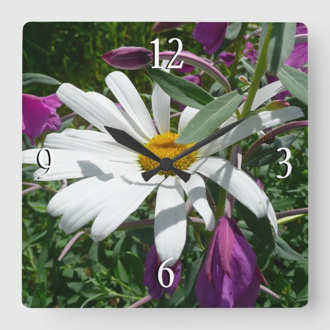 Horloge Carrée Fleur sauvage Daisy et Fireweed (Recto)