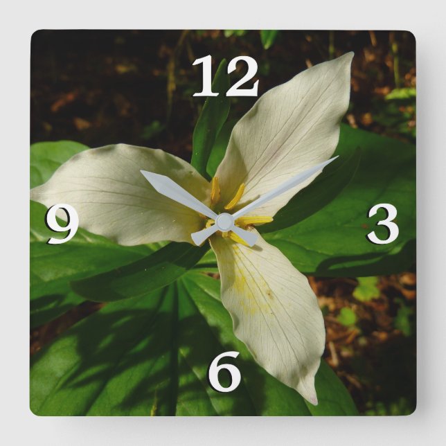 Horloge Carrée Fleur sauvage de printemps blanc Trillium Flower (Recto)