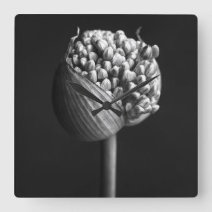 Horloge Carrée Fleurs   B&W Allium Flower Bud