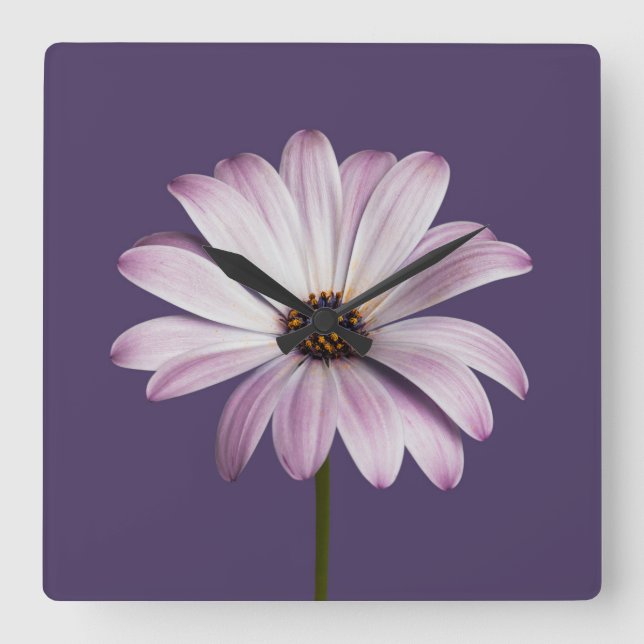 Horloge Carrée Fleurs | Blancs et marguerites violettes (Recto)