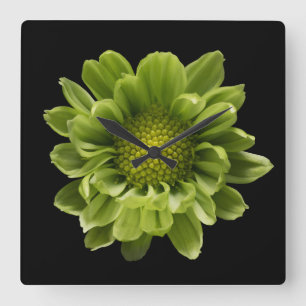 Horloge Carrée Fleurs Chrysanthème vert