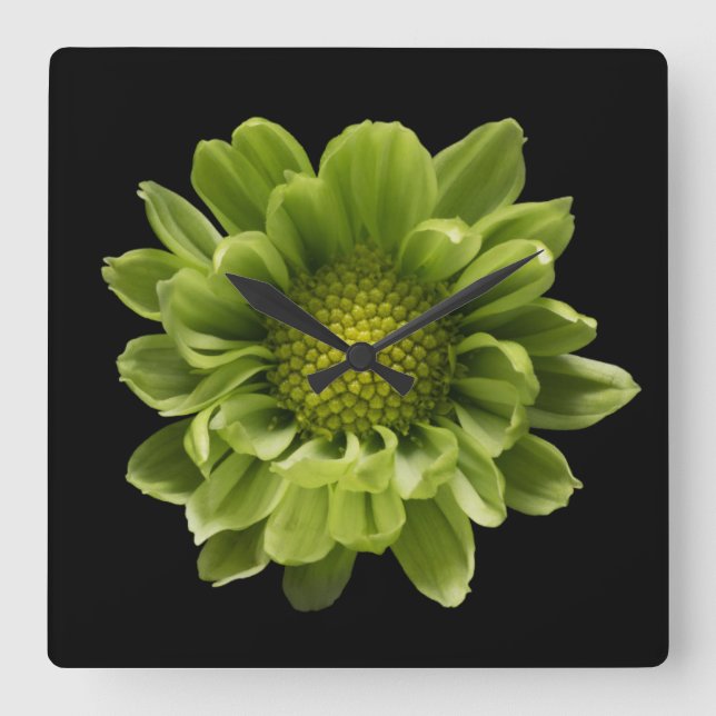 Horloge Carrée Fleurs | Chrysanthème vert (Recto)