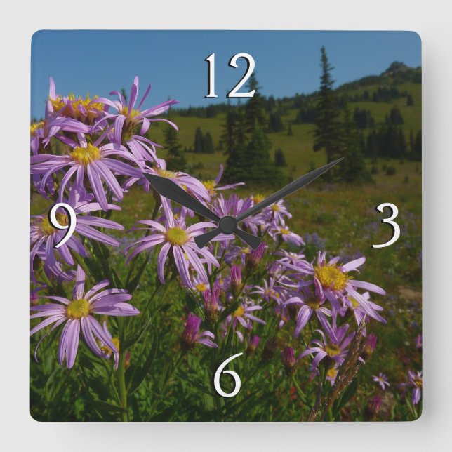 Horloge Carrée Fleurs d'aster violet au Mont Rainier (Recto)