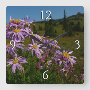 Horloge Carrée Fleurs d'aster violettes au mont Rainier