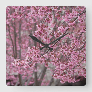 Horloge Carrée Fleurs de cerisier Sakura rose flottant