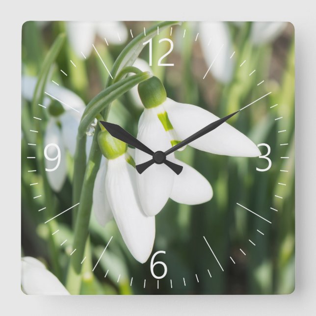 Horloge Carrée Fleurs de neige (Recto)