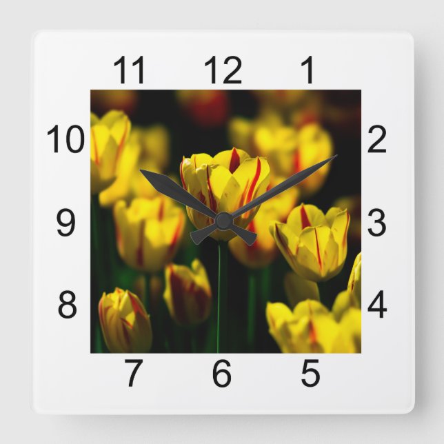 Horloge Carrée Fleurs de tulipe jaune (Recto)