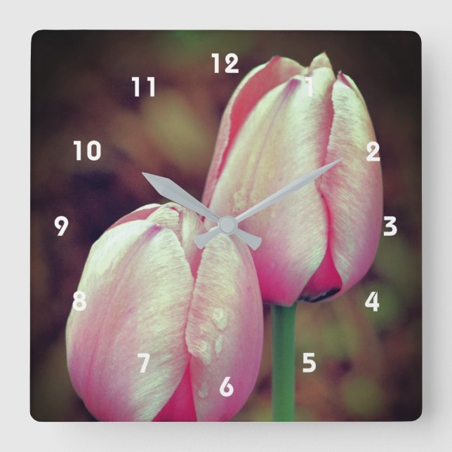 Horloge Carrée Fleurs De Tulipes Roses Avec Arroses (Recto)
