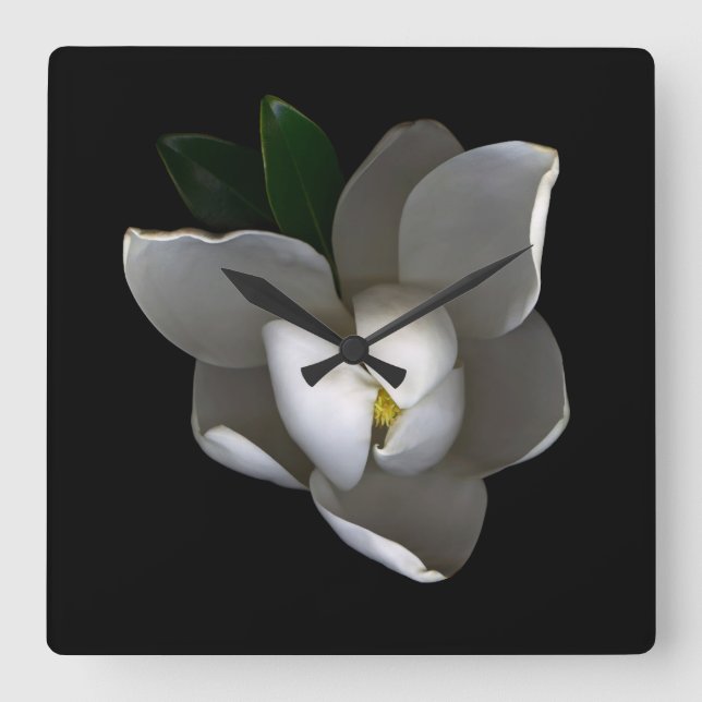 Horloge Carrée Fleurs | Fleur de Magnolia blanc unique (Recto)