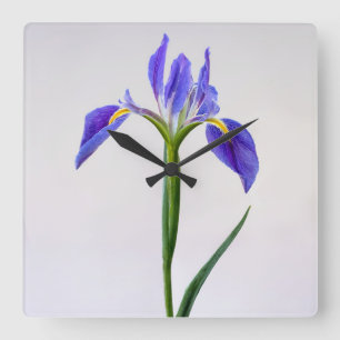 Horloge Carrée Fleurs   Fleur Iris Violet