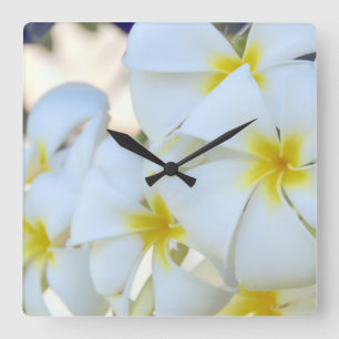 Horloge Carrée Fleurs tropicales de Plumeria