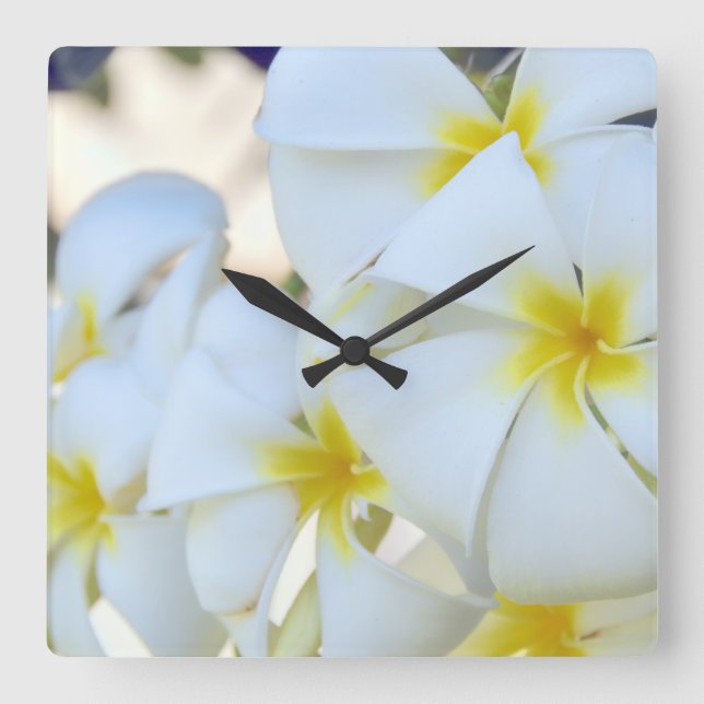 Horloge Carrée Fleurs tropicales de Plumeria (Recto)