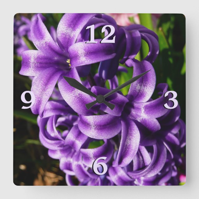 Horloge Carrée Flore de printemps Blue Hyacinth II (Recto)