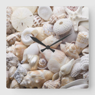 Horloge Carrée Florida Sea Shell Arrière - plan - Beach Shells Cu