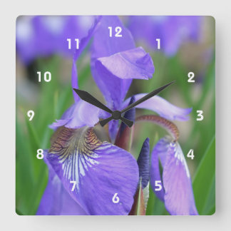 Horloge Carrée Flower bleu sauvage