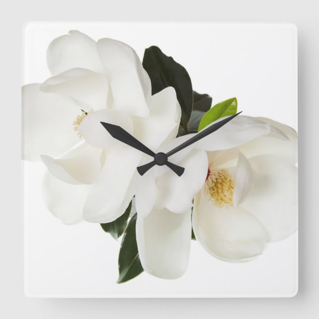 Horloge Carrée Flower Magnolia (Recto)