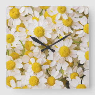 Horloge Carrée Flowers (homonymie) Bunch of Chamomiles