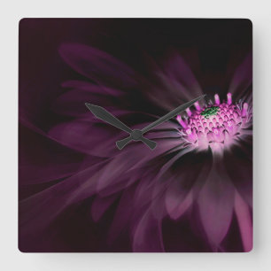 Horloge Carrée Flowers (homonymie)   Daisy