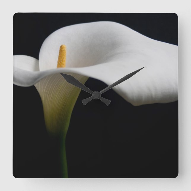 Horloge Carrée Flowers (homonymie) | White Calla Lily (Recto)