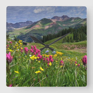 Horloge Carrée Flowers (homonymie)   Wildflowers Durango