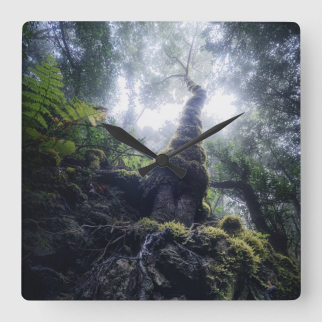 Horloge Carrée Forêt | Anaga Parc rural Canaries (Recto)