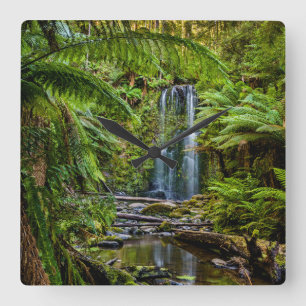 Horloge Carrée Forêt Beauchamp Falls Australie